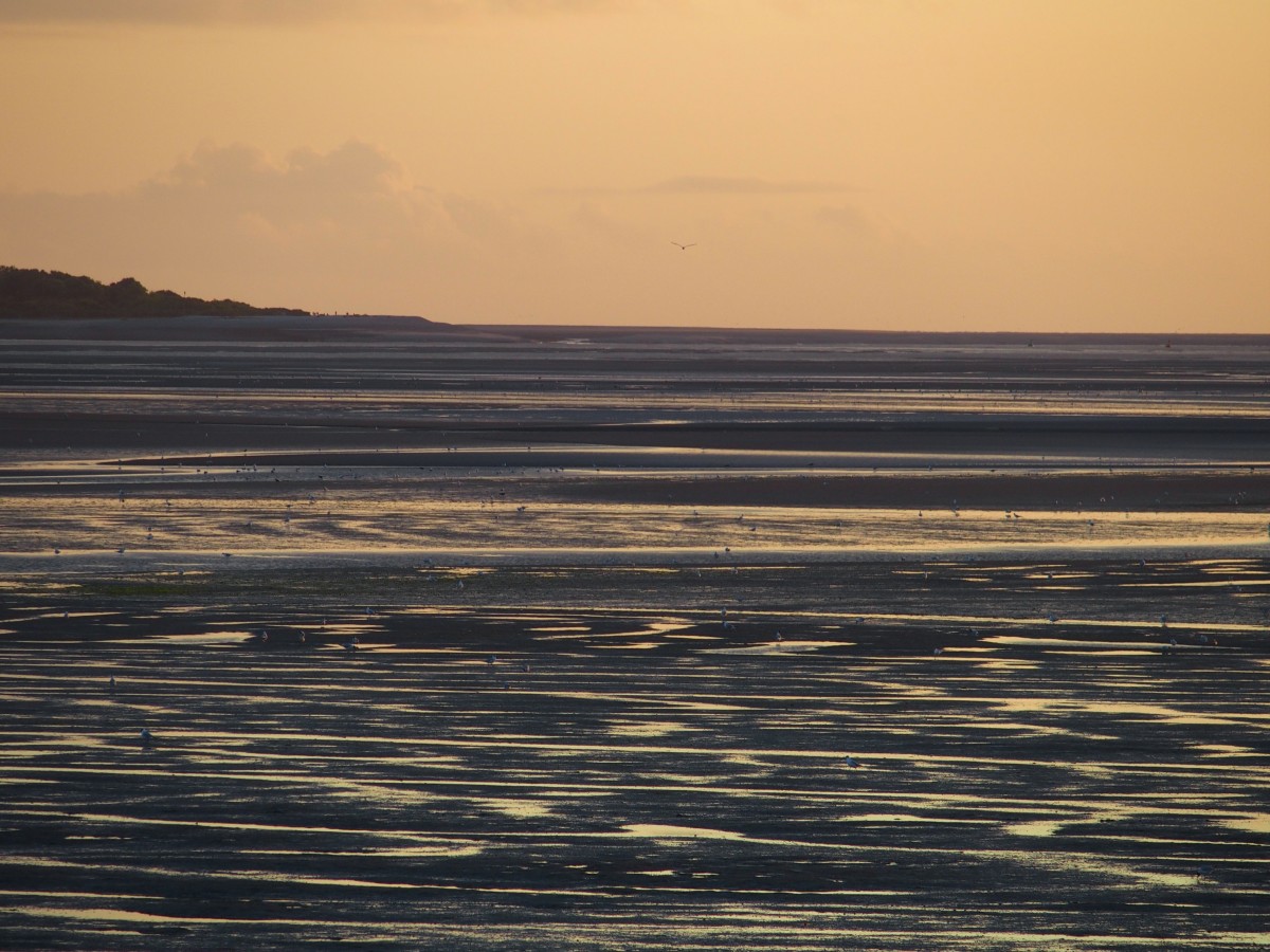 baie_bleue